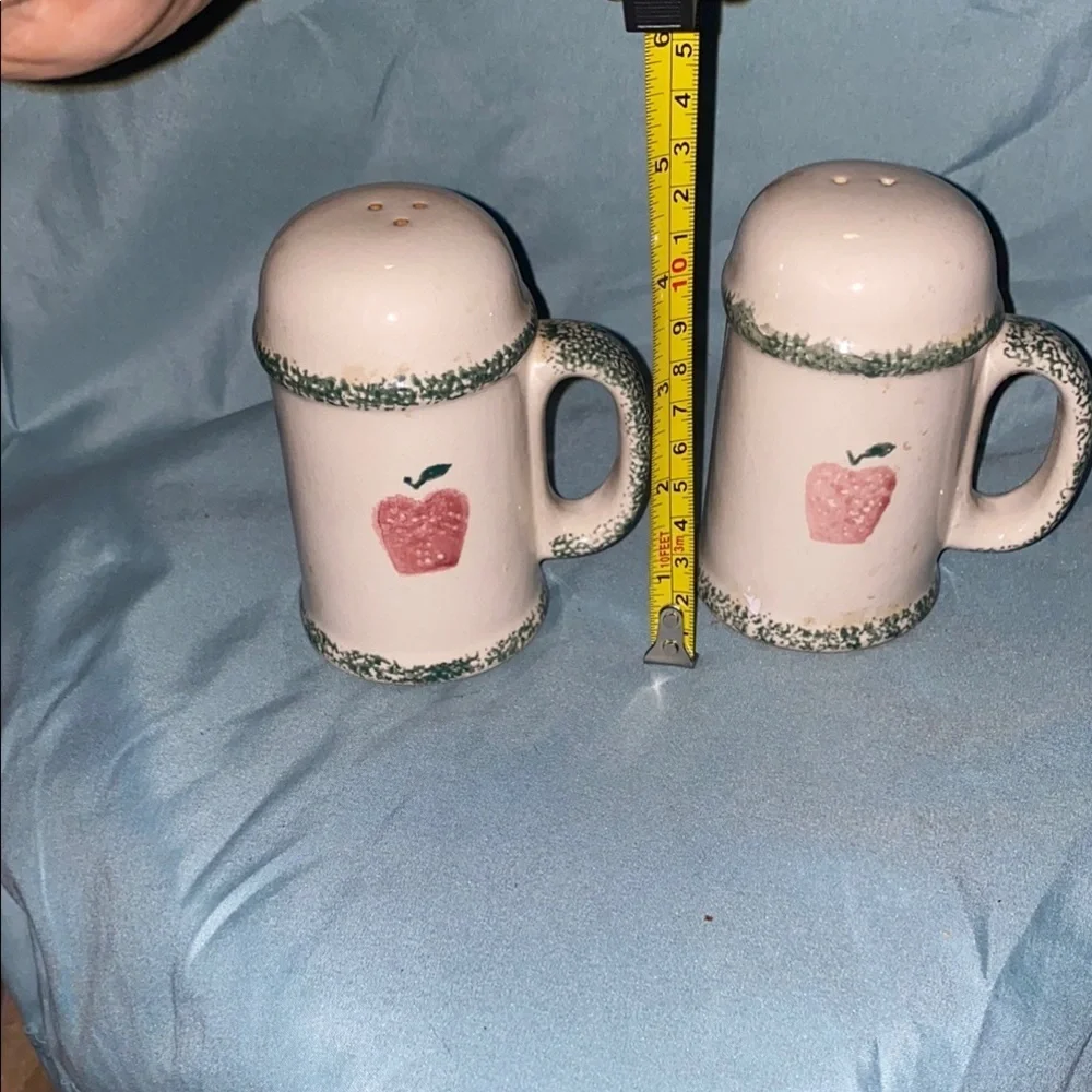 BX48 Apple Design Salt and Pepper Shakers